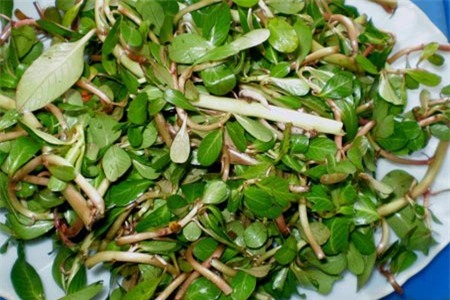 Rau dừa
