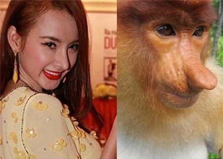 Hành trình