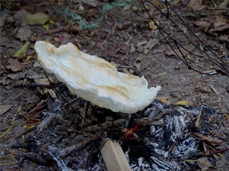 Ăn bánh phồng quết... thịt kho tàu!, Ẩm thực, banh phong quet thit kho tau, banh phong thit kho tau, banh phong, mo heo, mon ngon moi ngay, nau an, mon ngon, nau an ngon, mon ngon de lam, am thuc viet nam, day nau an, mon an ngon, mon ngon cuoi tuan, mon an hang ngay,day nau an ngon, nau an moi ngay, nau an ngon moi ngay, am thuc viet, am thuc