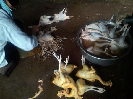 Hãi hùng những thực phẩm tẩm màu độc hại ở Việt Nam 4
