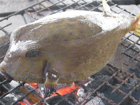 Độc vị món nướng “Gà nước mặn”, Ẩm thực, ga nuoc man, ca bo hom, ca bo hom nuong, am thuc, mon ngon moi ngay, mon ngon, mon ngon Viet Nam