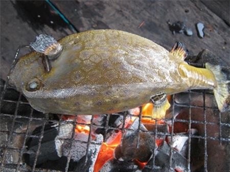 Độc vị món nướng “Gà nước mặn”, Ẩm thực, ga nuoc man, ca bo hom, ca bo hom nuong, am thuc, mon ngon moi ngay, mon ngon, mon ngon Viet Nam