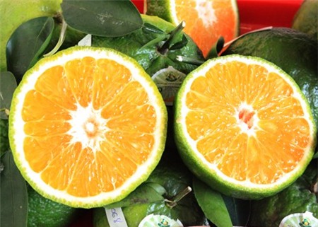 Những loại trái cây tốt từ vỏ đến ruột  1