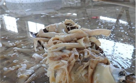 khúc bạch, bẩn, chè