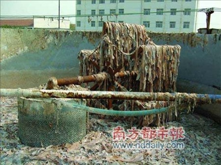 khúc bạch, bẩn, chè