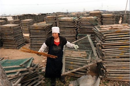 khúc bạch, bẩn, chè