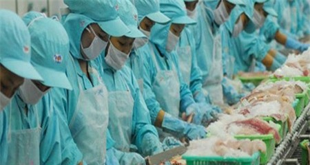 ESOP, chứng khoán, cổ phiếu, ưu đãi, nhóm lợi ích