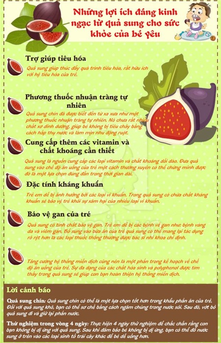 Những lợi ích đáng kinh ngạc từ quả sung cho sức khỏe của bé 1