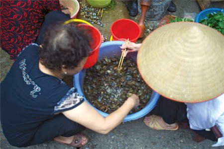 Thậm thịch phố giã cua đồng giữa Thủ đô, Ẩm thực, mon ngon moi ngay, nau an, mon ngon, nau an ngon, mon ngon de lam, am thuc viet nam, day nau an, mon an ngon, mon ngon cuoi tuan, mon an hang ngay,day nau an ngon, nau an moi ngay, nau an ngon moi ngay, am thuc viet, am thuc