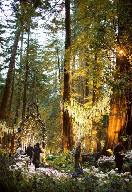 Choáng ngợp trước đám cưới 200 tỷ đồng của tỷ phú Mỹ 3