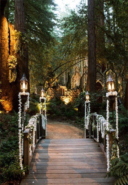 Choáng ngợp trước đám cưới 200 tỷ đồng của tỷ phú Mỹ 5