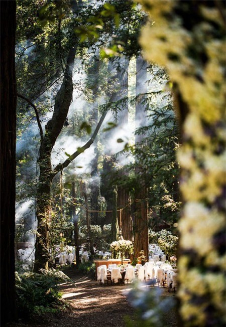 Choáng ngợp trước đám cưới 200 tỷ đồng của tỷ phú Mỹ 6