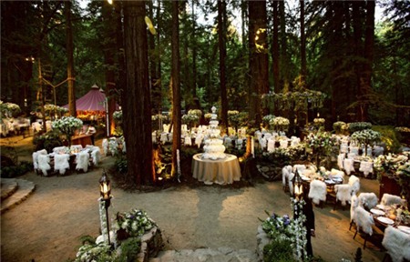 Choáng ngợp trước đám cưới 200 tỷ đồng của tỷ phú Mỹ 9