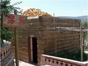 Mất mạng... vì nghịch điện thoại trong nhà vệ sinh 1