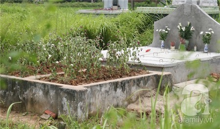Nơi chôn cất tập thể gần 25 nghìn hài nhi tại Hà Nội 2