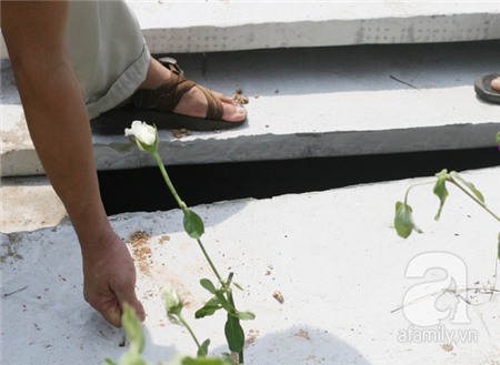 Nơi chôn cất tập thể gần 25 nghìn hài nhi tại Hà Nội 4