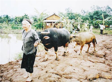 5 vai diễn về mẹ Việt Nam đi cùng năm tháng - 1