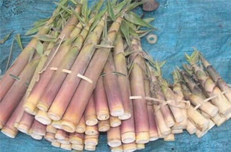Măng đắng vừa ngọt, vừa mặn mặn, vừa cay nồng, vừa tê tê các vị trong đồ chấm có tên lạ lẫm: chẩm cheo..