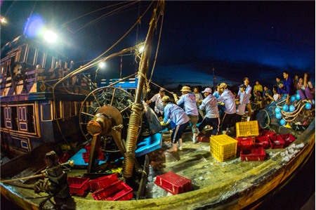 Tàu đánh bắt cá trên cảng Hải Phòng