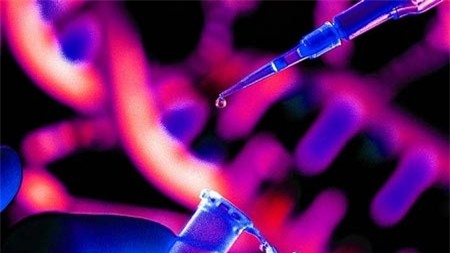 tuổi thọ, trường sinh, biến đổi gen, mTOR