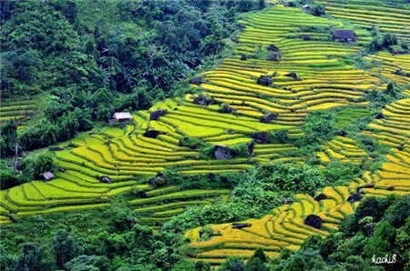 Phượt cung Tây Bắc mùa lúa chín vàng 3