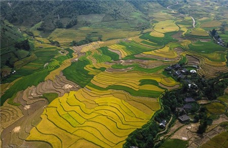 Phượt cung Tây Bắc mùa lúa chín vàng 5