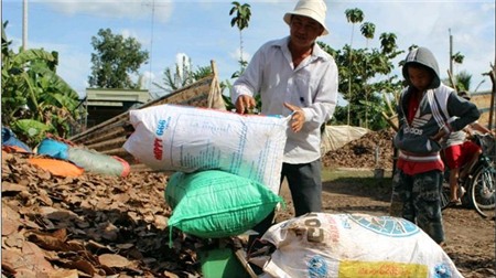 rễ cây, lá cây, thương lái, Trung Quốc, thu mua thu gom, thu nhập