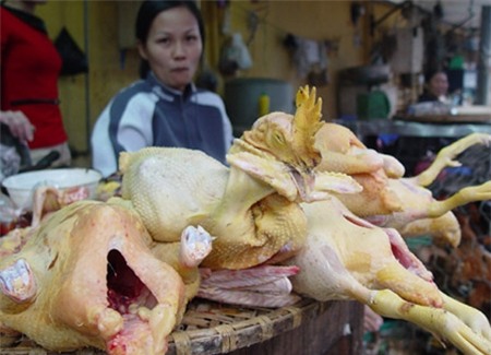 Bố nhậu lòng lợn thối, con ăm bim bim Trung Quốc