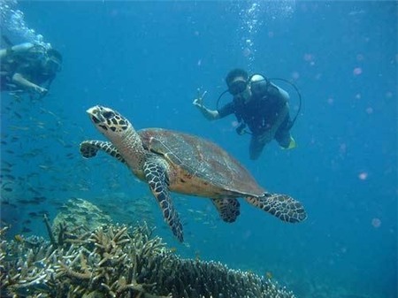Những hòn đảo đẹp