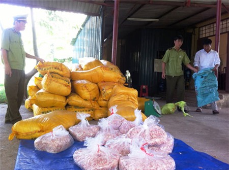 Sốc: 1,5 tấn mực khô bắt được là mực giả - 1