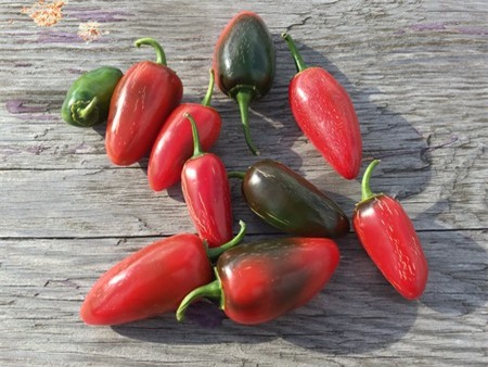 Video giới thiệu về camera trên iPhone 5S: