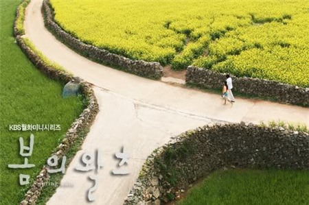 Những cảnh hoa tuyệt đẹp trên phim Hàn - 6