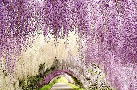 10 thiên đường có thật trên thế giới - 1