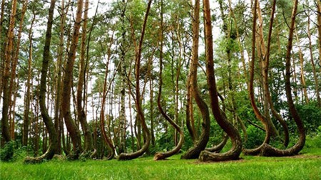 10 thiên đường có thật trên thế giới - 7