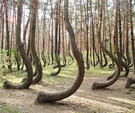 10 thiên đường có thật trên thế giới - 8