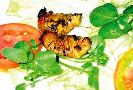 4 loại ấu trùng mê hoặc thực khách Việt 2