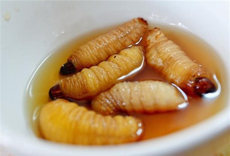 4 loại ấu trùng mê hoặc thực khách Việt 3