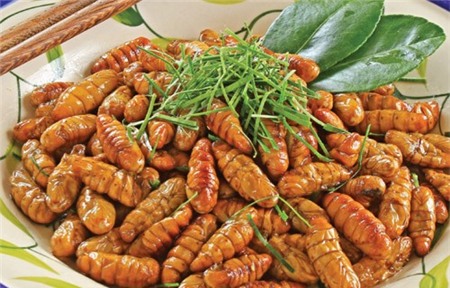 4 loại ấu trùng mê hoặc thực khách Việt 9