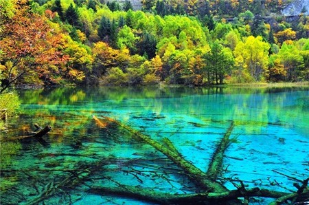 Du ngoạn những vùng biển hồ 