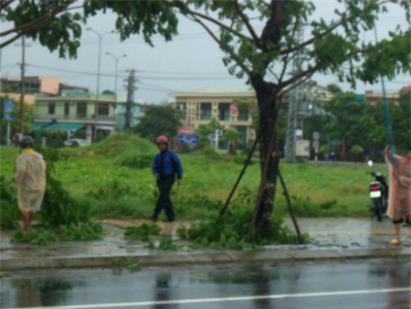 Đại Dương - Đức Tài - Phượng Vũ - Thế An