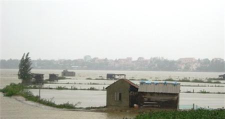 Nhiều đồng nuôi tôm bị xóa trắng