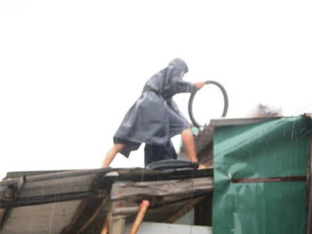 Buộc lại mái tôn phòng bão