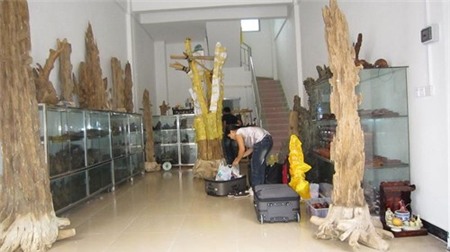 Đại gia dùng trầm hương chiêu tài dẫn lộc 3