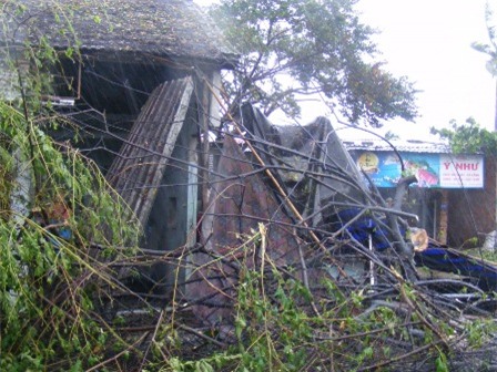 1 căn nhà ở huyện Phú Lộc bị cây đổ làm sập nhà