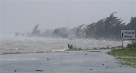 Nhiều tuyến đê ở huyện Phú Lộc bị xâm lấn vào dữ dội