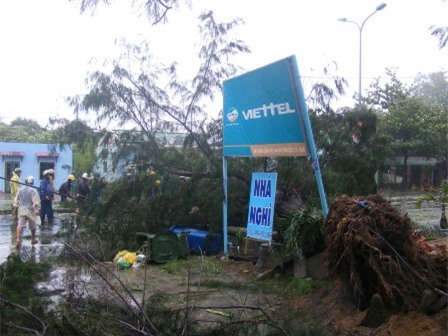 Cây cổ thụ bật gốc do bão, nằm chắn ngang QL 1A qua thị trấn Lăng Cô, huyện Phú Lộc.