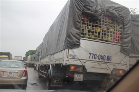Những chiếc xe container quá khổ nằm chờ nước rút