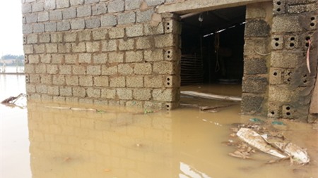 Nhiều hộ dân ở cạnh cánh đồng này nước đang ngập.