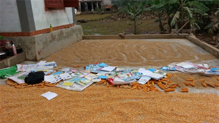 Sổ hộ khẩu, các giấy tờ liên qua của một hộ dân xóm 4 Quỳnh Trang đã ướt sạch.