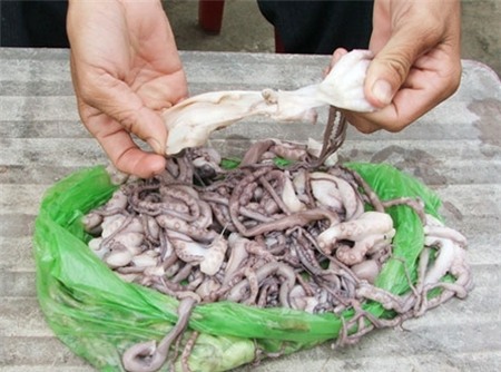 hải sản, chanh leo, chuột, dầu gọi, sâm Ngọc Linh, giả, độc